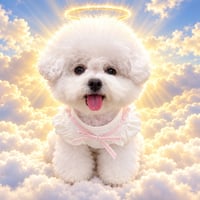 Coco logo