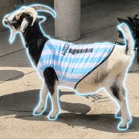 Messi the GOAT