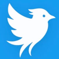 The Twitter Bird