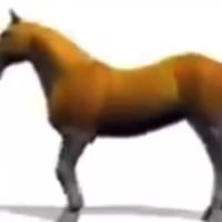 Overthinking Horse