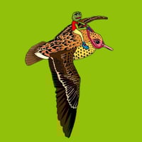 0x407b574D34d1B967d1A6c927c58b6B76B7F9202F