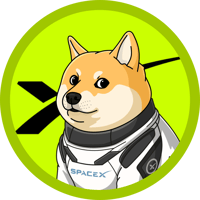 DOGE-1