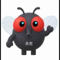 永生果蝇