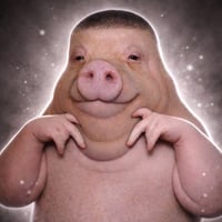 PIGGER