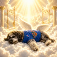 Justice For Jameson The Doodle logo