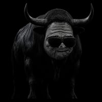 The Unc Bull