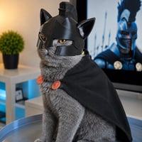 Sky Super Cat