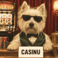 casinu