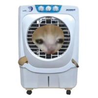 Air-Conditioned Cat