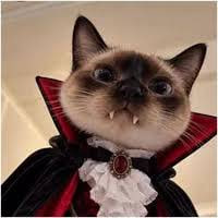 Vamp Cat