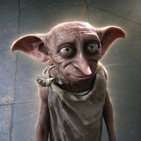 Dobby The Elf