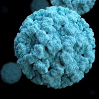Norovirus