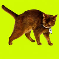 Schrödinger