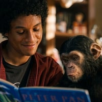 Michael jackson Chimpanzee