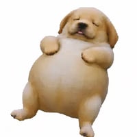 eeepydog