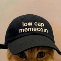 Low Cap Memecoin