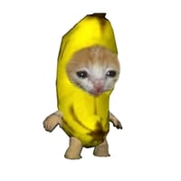 banana cat 