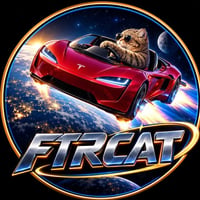 Flying Tesla Roadster Cat