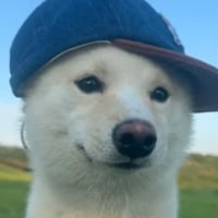 wifcap