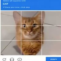 CATCHA
