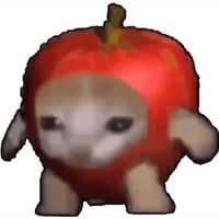 Apple cat