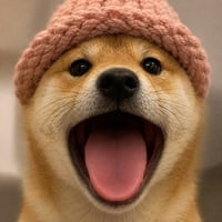 popdogwifhat