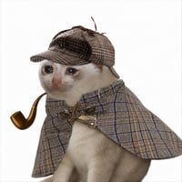 pipecat
