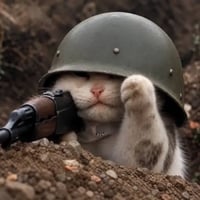 TRENCHCAT logo