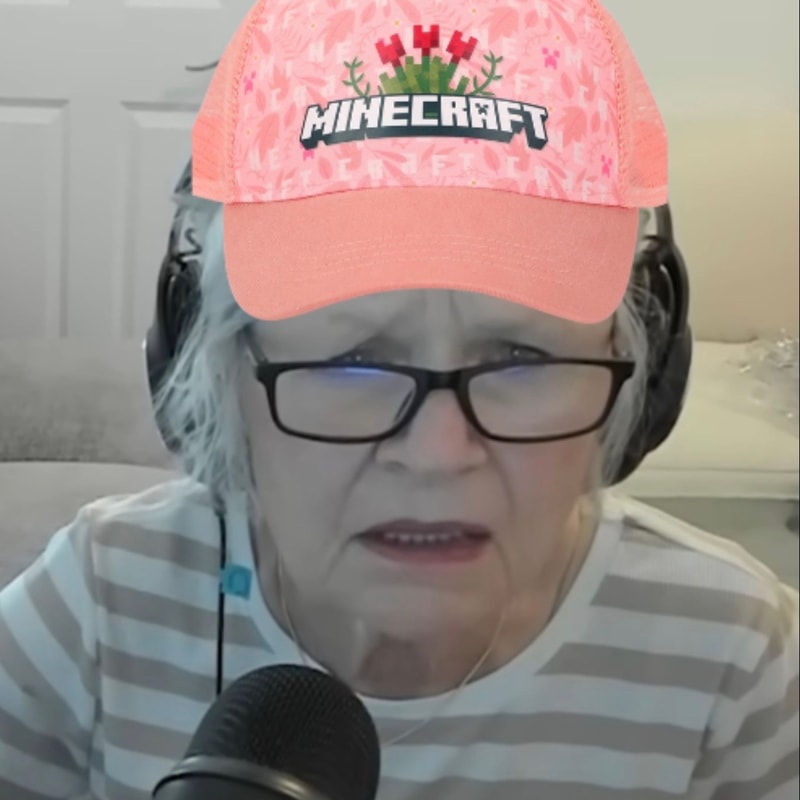 Minecraft Grandma Fund