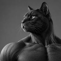 GIGACAT
