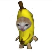 BCAT
