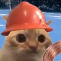 Copper Cat