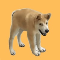 Doggocoin