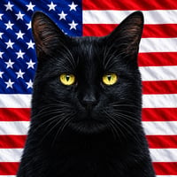 BLACKCAT logo