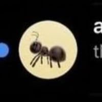 ANThropic