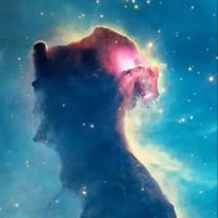 Space Cat