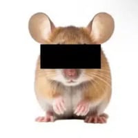 ANONYMOUSE logo
