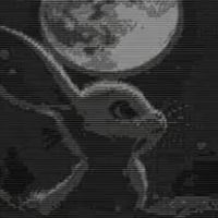 The rabbit who loved the moon