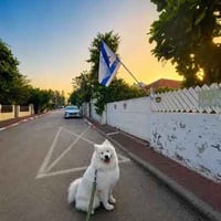 Koko The Zionist Dog logo