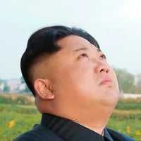 DPRK logo