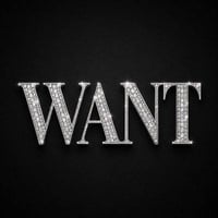 WANT logo