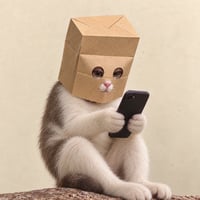 zcatonfone