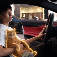 Kimchi's Cat