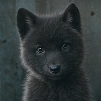 kami