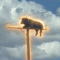 Bull On Pole