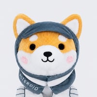 Asteroid Shiba
