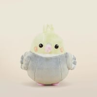 Mini Tilli the Cockatiel