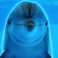 Dolphin Intelligence