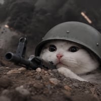 trenchcat