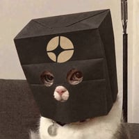 Privacy Cat